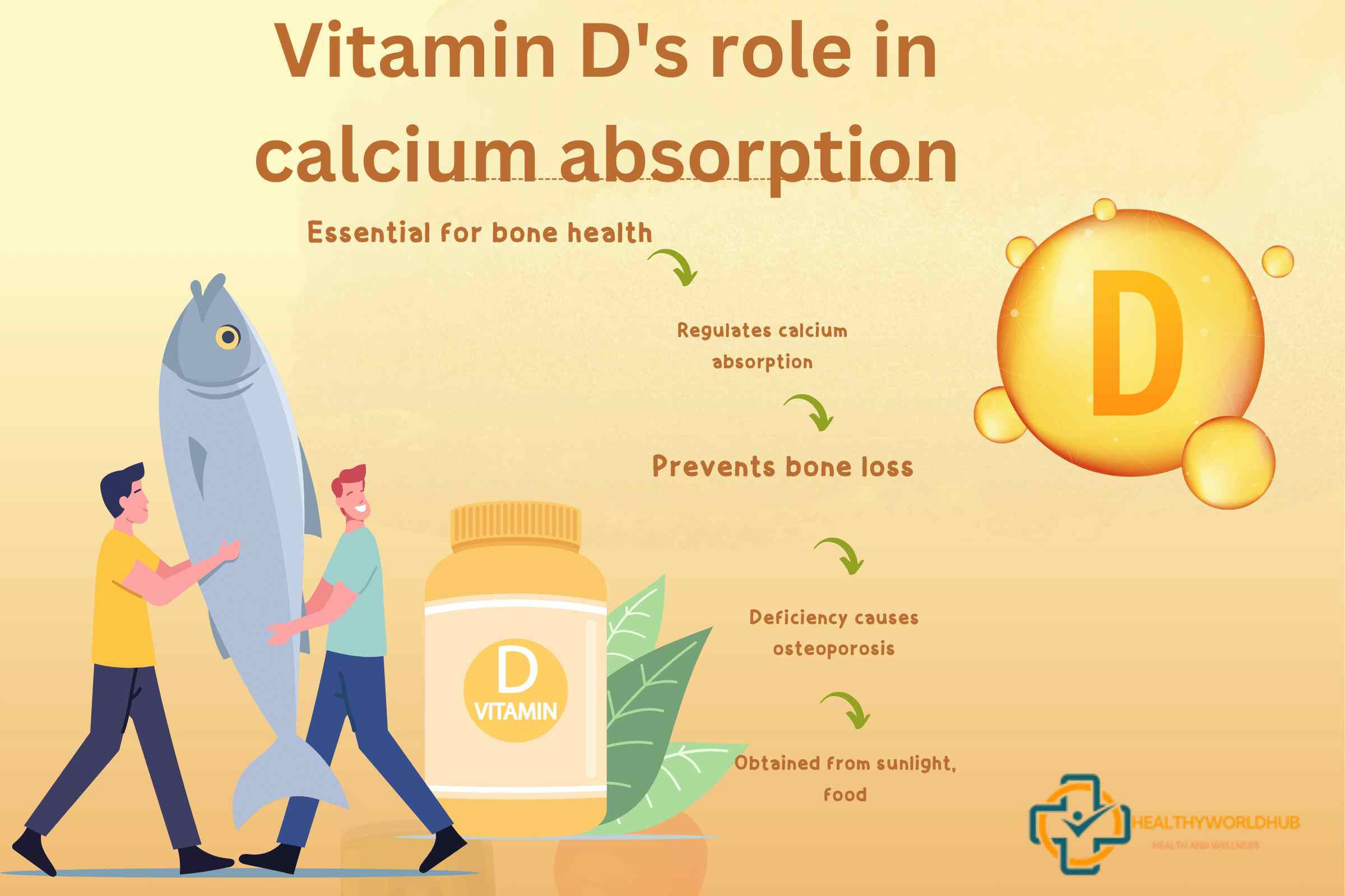 calcium absorbs vitamin d