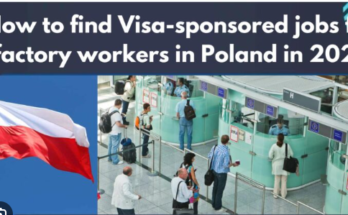 Cheese Factory Jobs in Poland with Visa Sponsorship and Free Accommodation