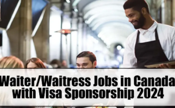 Waiter/Waitress Jobs in Canada with Visa Sponsorship 2024