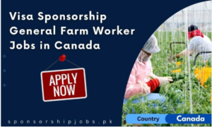 Current Farm Worker Jobs in Canada with Visa Sponsorship