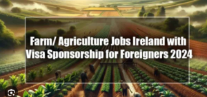 Potato Picking and Grading Jobs in Ireland for Foreigners 2024 (Apply Online)