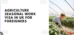 Farming Jobs in the UK For Foreigners 2024 – Visa Sponsored