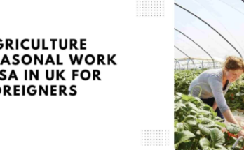 Farming Jobs in the UK For Foreigners 2024 – Visa Sponsored