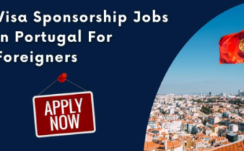 Kitchen Assistant Jobs in Portugal with Visa Sponsorship 2024