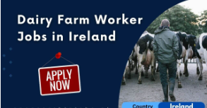 Dairy Farm Jobs in Ireland Visa Sponsorship for Foreigners