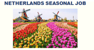 Netherland Seasonal Jobs Opportunity for Non-EU/ International Workers