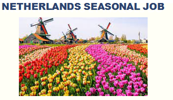 Netherland Seasonal Jobs Opportunity for Non-EU/ International Workers