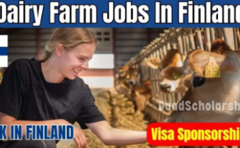 Farm Jobs Finland with Visa Sponsorship for Foreigners 2024