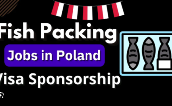 Fish Packing Jobs in Poland 2024 – Visa Sponsorship