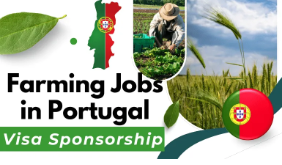 Farm Jobs in Portugal with Visa Sponsorship 2024 – Apply Now