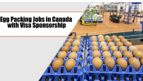 Egg Packing Jobs in Canada with Visa Sponsorship