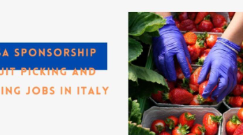 Fruit Picking Jobs in Italy Family Farms 2024 – Apply Now